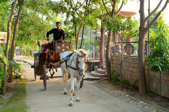 Kangs Nirvana Resorts And Spa Mahalpur Exterior photo